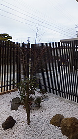玄関前坪庭
