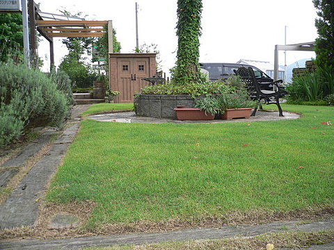 きれいな芝はいいものですね。
