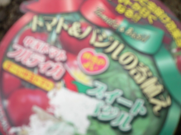 福井　庭　